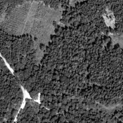 © DORIS Cadastral map 1:1,000, former concentration camp grounds mainly plots 111/1 and 112/3 and 113/1; the former locations of the barracks are clearly visible in the vegetation