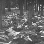 © USHMM Bodies of prisoners, May 1945