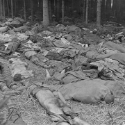 © USHMM Bodies of prisoners, May 1945
