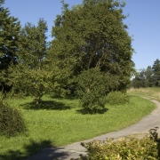 Gedenkstein
