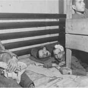© American-Israeli Cooperative Enterprise CC-Ebensee: survivors