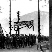 © USHMM Ebensee concentration camp: survivors greet liberators, May 1945