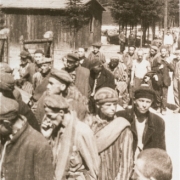 © USHMM Survivors leave the camp, May 1945
