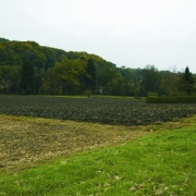 © MKÖ former concentration camp site