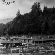 © AMM Concentration Camp