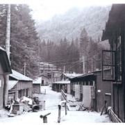 Camp 1947