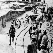 Mauthausen Archive Prisoners KZ Mauthausen