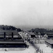 Mauthausen Archive Mauthausen concentration camp